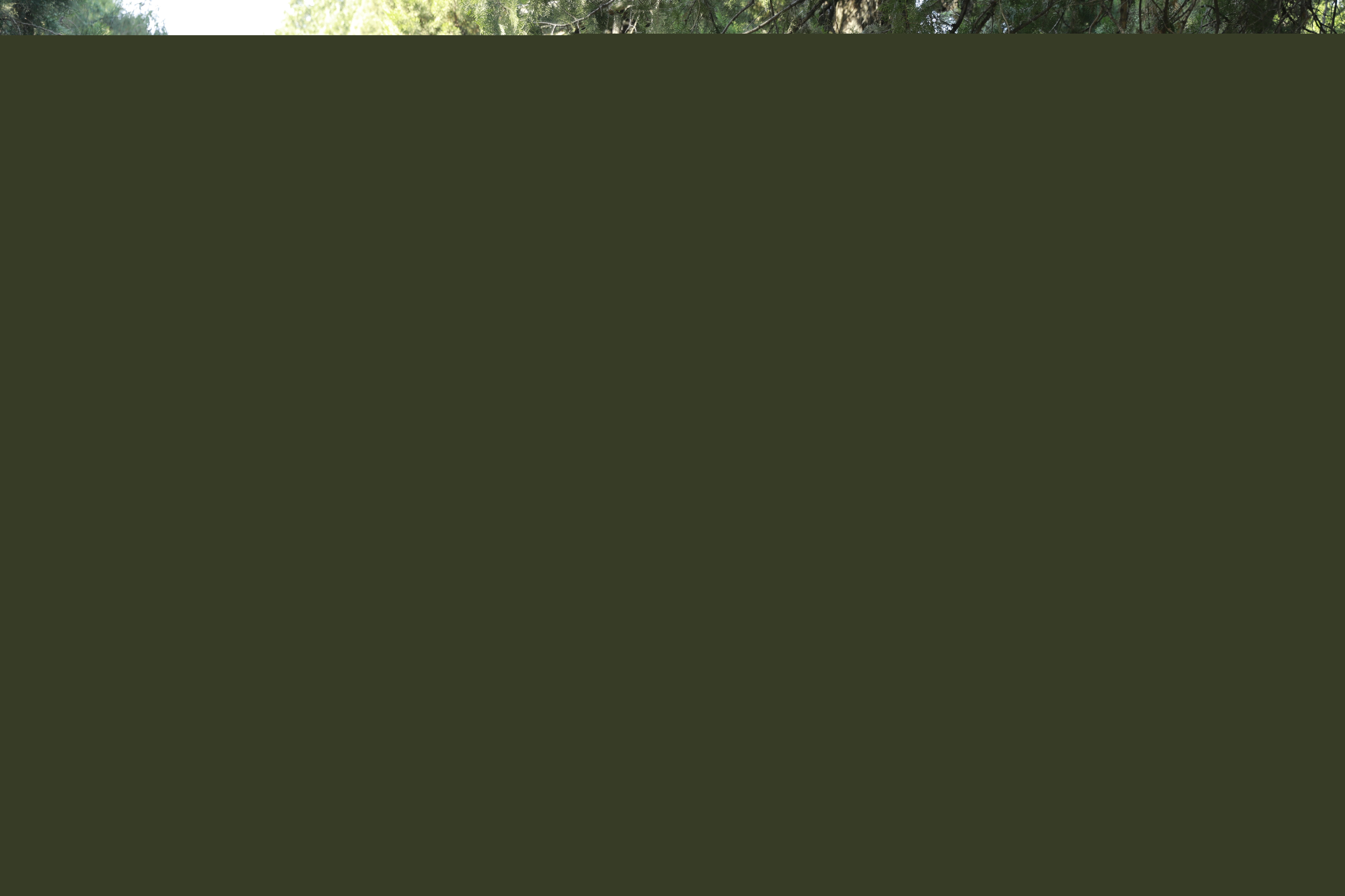 B086AE